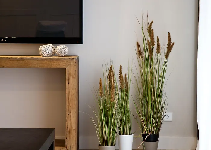 Au 30 Centre Grand Palais 4* Lille